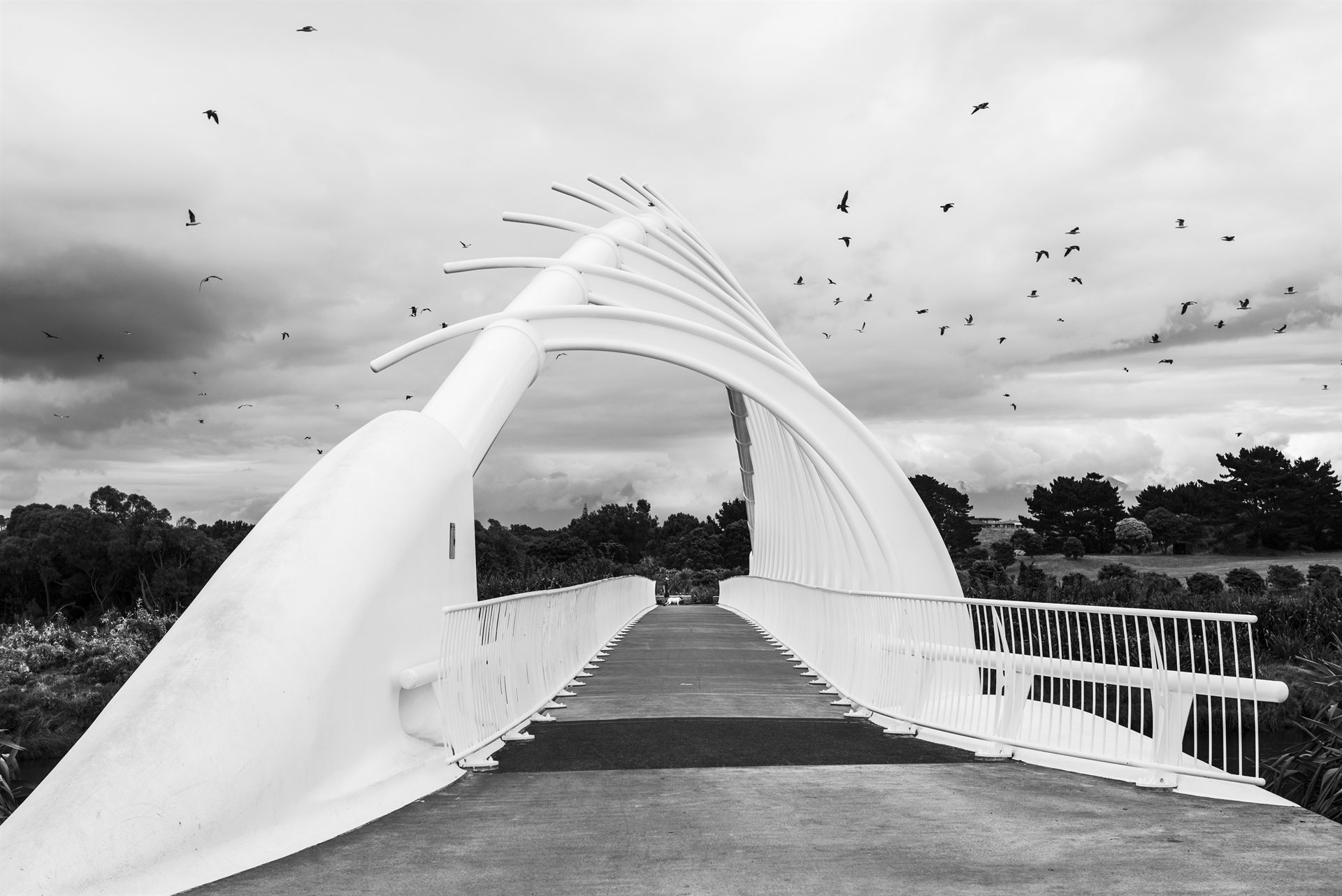 Bridge architecture
